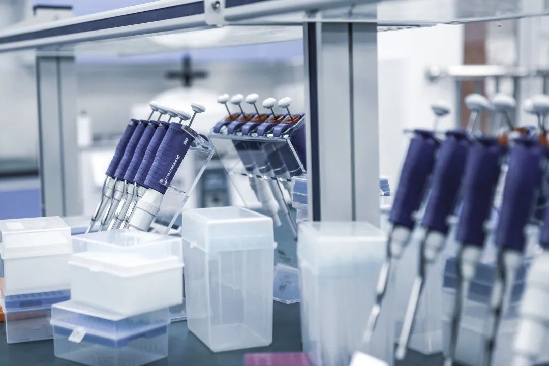 姝︽眽鐧惧勾鍚嶆牎,姝︽眽鐧惧勾楂樹腑