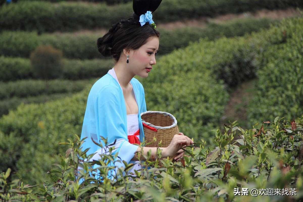 送礼送什么茶实惠又大气,送人送什么牌子的茶最上档次