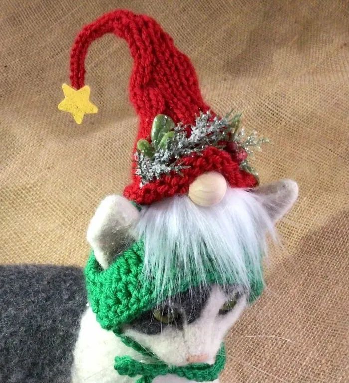 给猫咪编织帽子,给猫编织帽