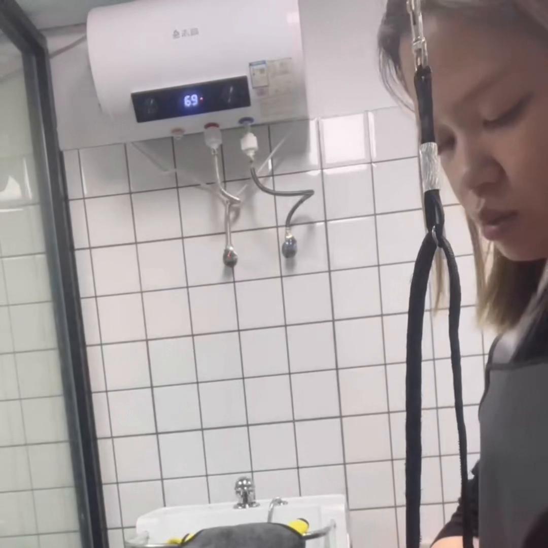 狗狗皮肤病并不可怕，我们也会做好日常消杀。