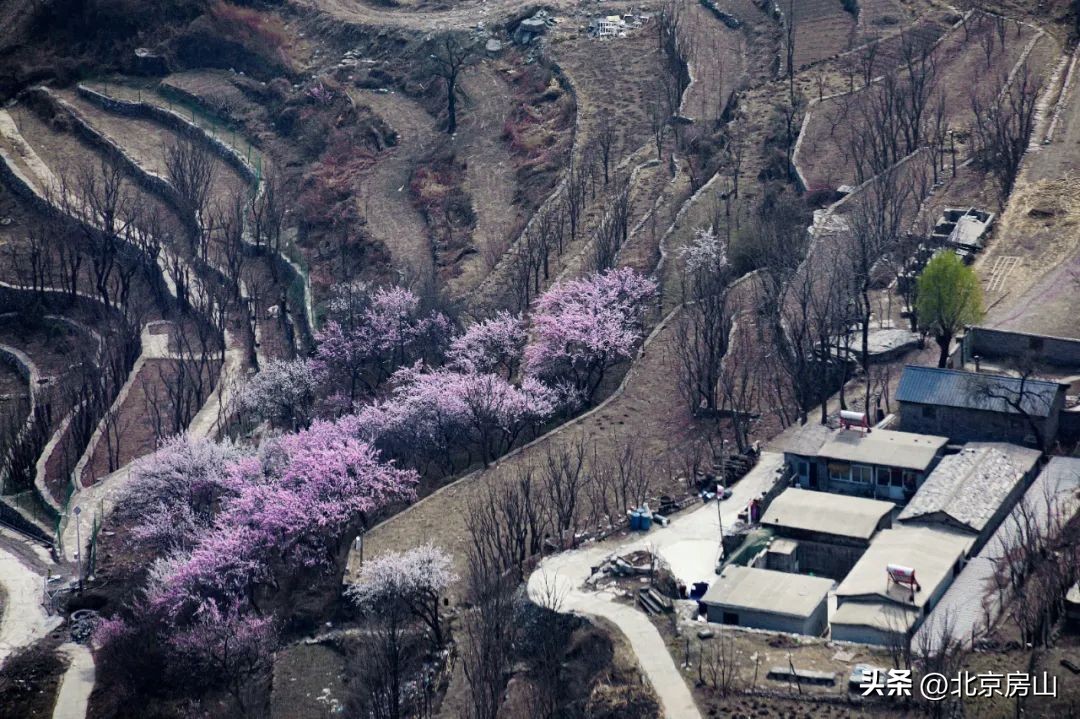 魅力乡村摄影大赛,魅力韩村河