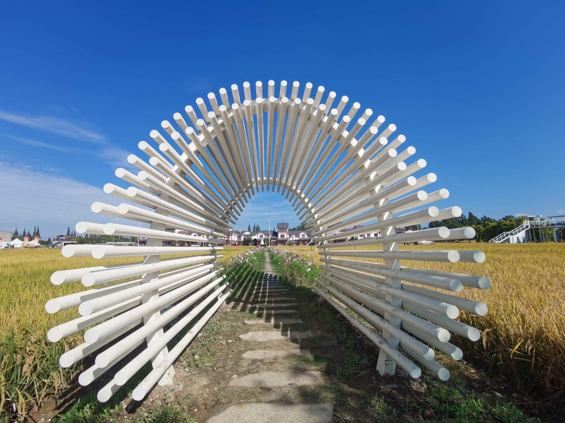 稻田乡村主题游,乡村旅游美食文化活动
