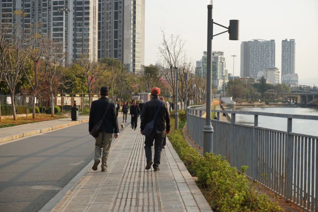 这十年的教育成就总结,大理州教育体育工作会