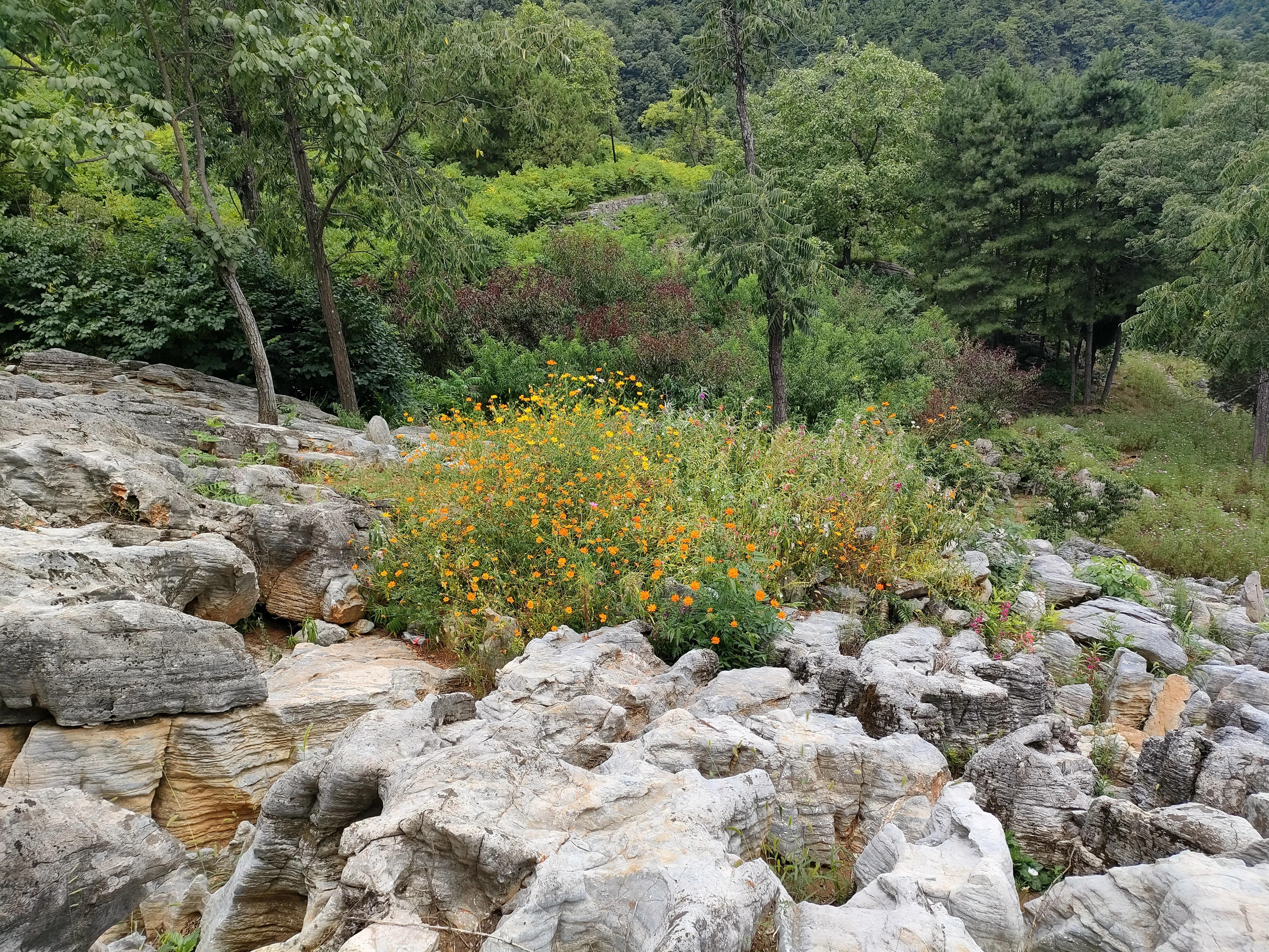 秦岭江山景区怎么样,秦岭江山景区最新通知