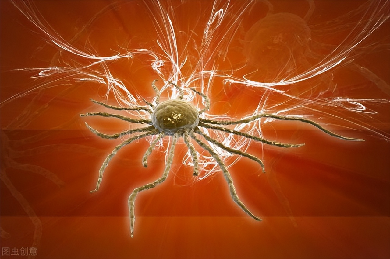 天才医生生病,天才医生29