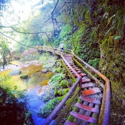 青城后山白云索道上山大概几分钟,青城后山游玩攻略大全