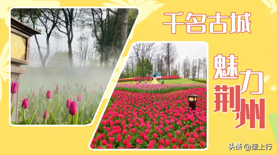 湖北春季赏花攻略十大赏花路线,叮你有一份礼物请查收音频