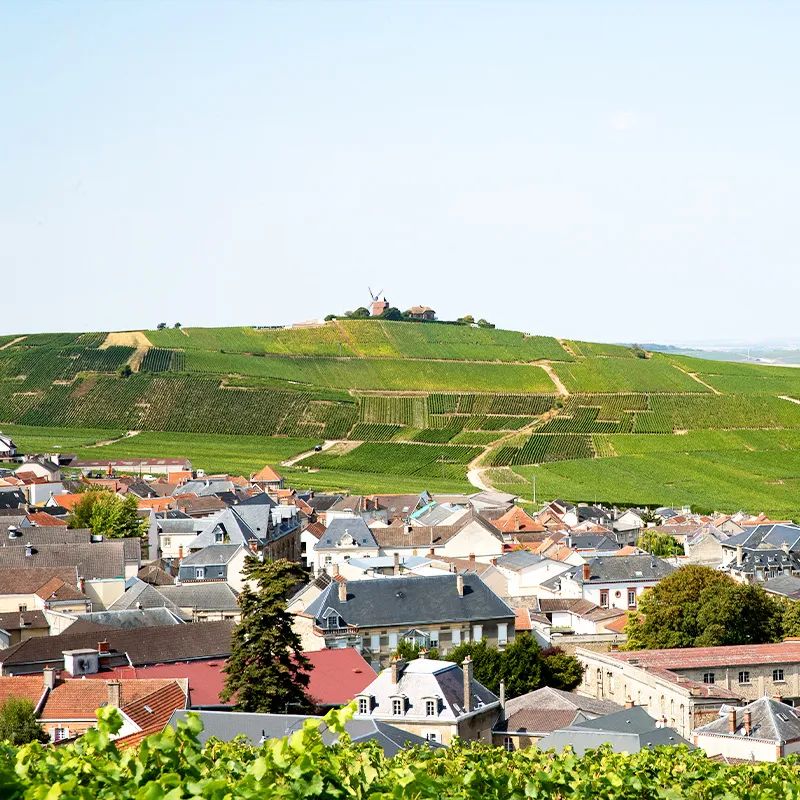 香槟葡萄园旅行,旅游香槟