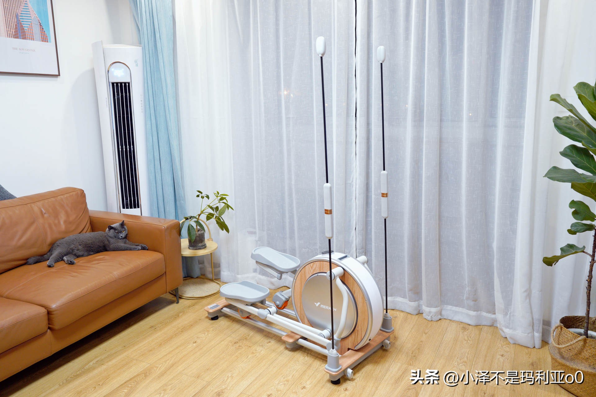 家用减脂健身器械推荐,燃脂健身器材怎么选