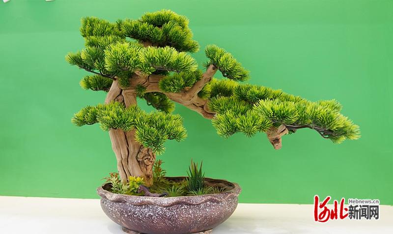 河北巨鹿县：打造全产业链发展格局小小金银花“种出”大产业