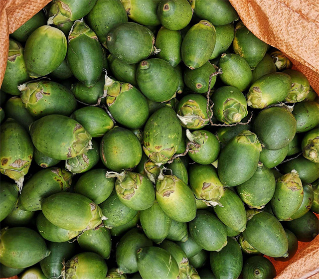 槟榔的危害到底有多大图,槟榔的危害和后果有多严重