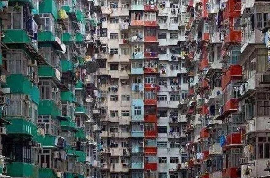 8只白鼠繁衍实验,美国8只老鼠的实验