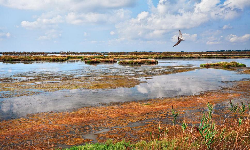 三角洲的地貌特征,三角洲后退的主要原因