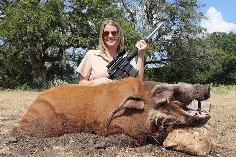 红河野猪视频,红河猪是入侵物种吗