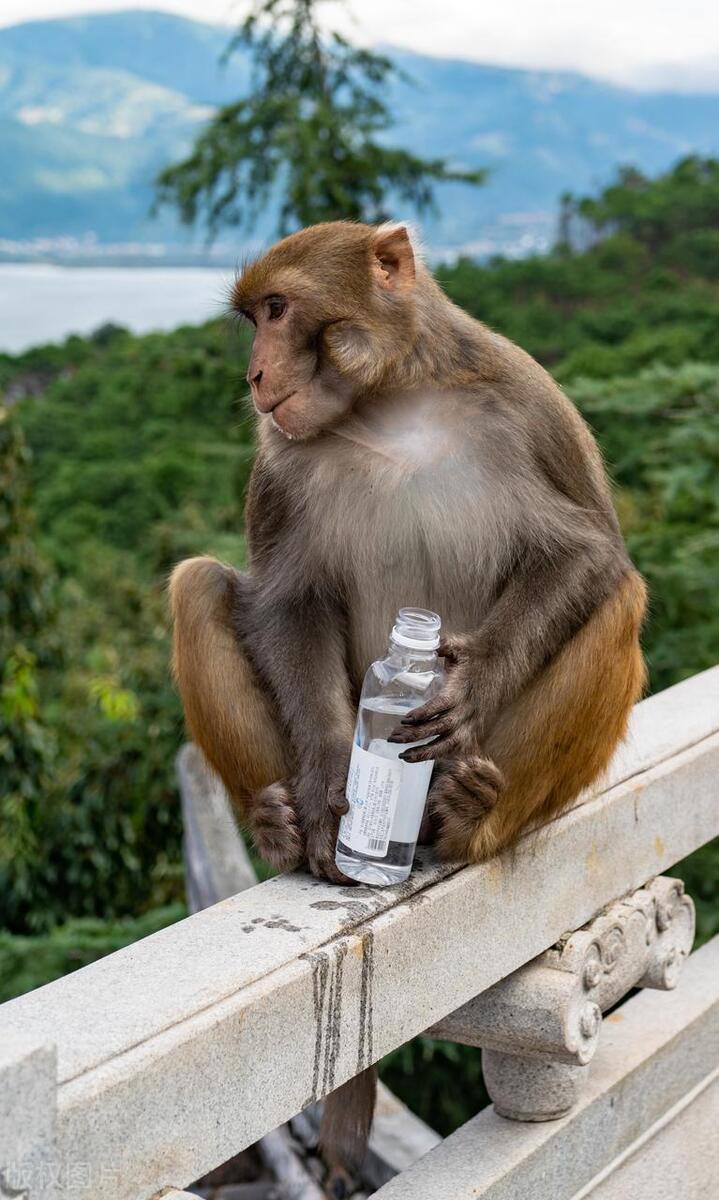 四川容易被忽视的市,四川最被低估的景区