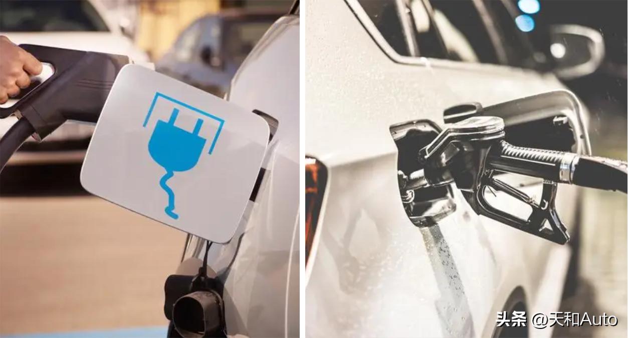 一季度电动车与燃油车销量 (全球电动车和燃油车销量)