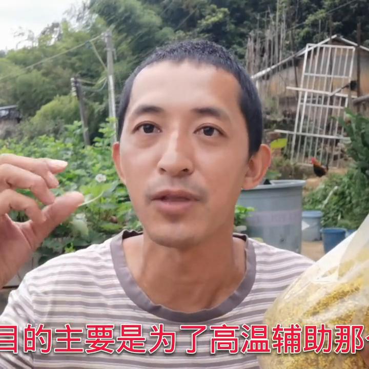 花粉发酵20几天还能喂蜂吗,喂蜂花粉的调制方法