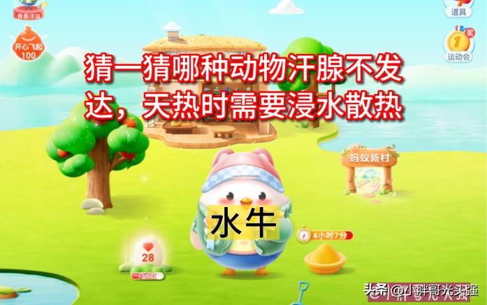 猜一猜哪种动物汗腺不发达,猜一下哪种动物没有汗腺