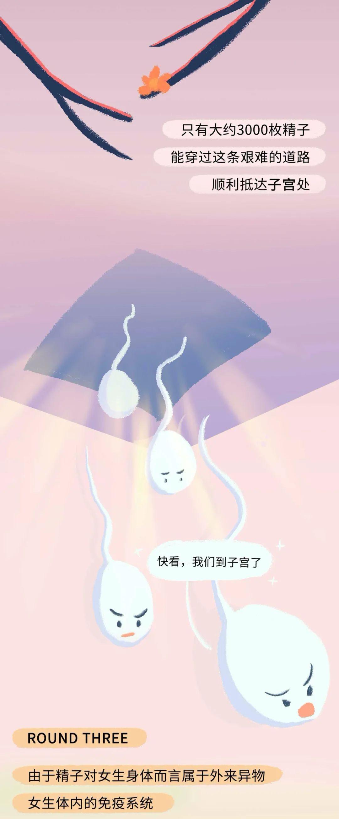 精子进入女生体内的全过程！（漫画）