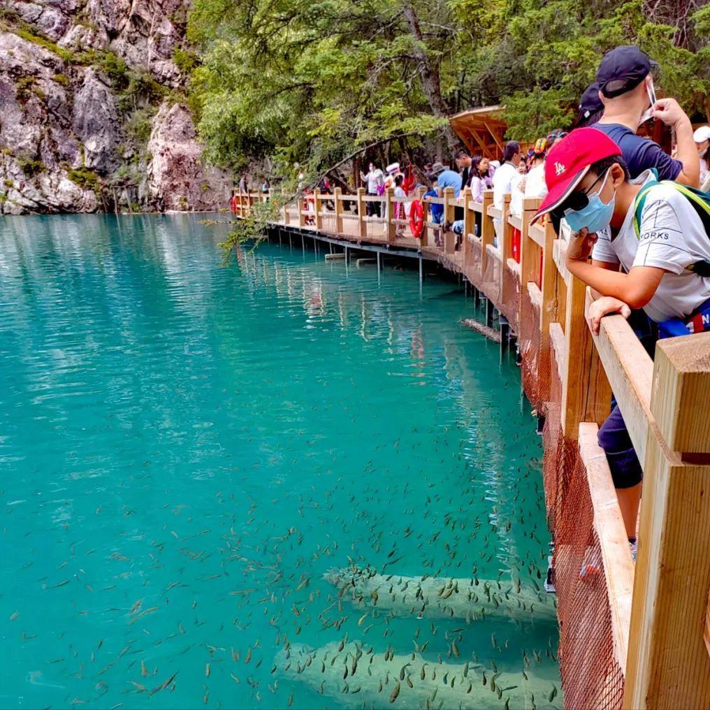 四川九寨沟五天自驾游,四川九寨沟旅游攻略5天4夜跟团游