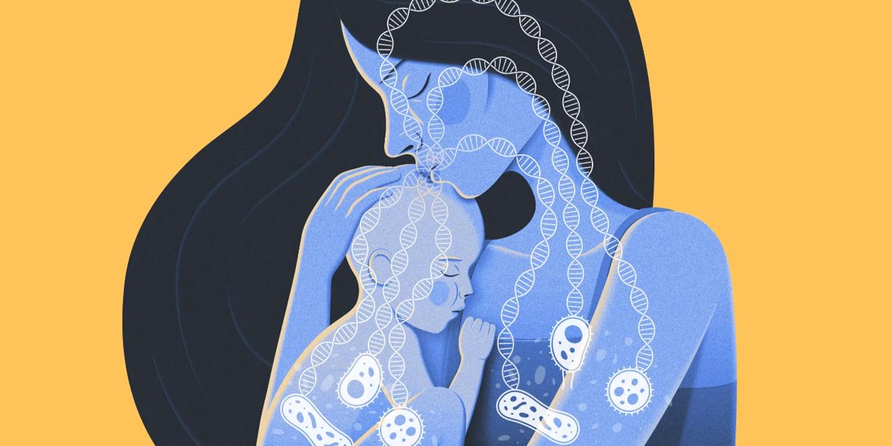 如何帮助宝宝建立肠道菌群,如何帮宝宝建立正常的肠道菌群