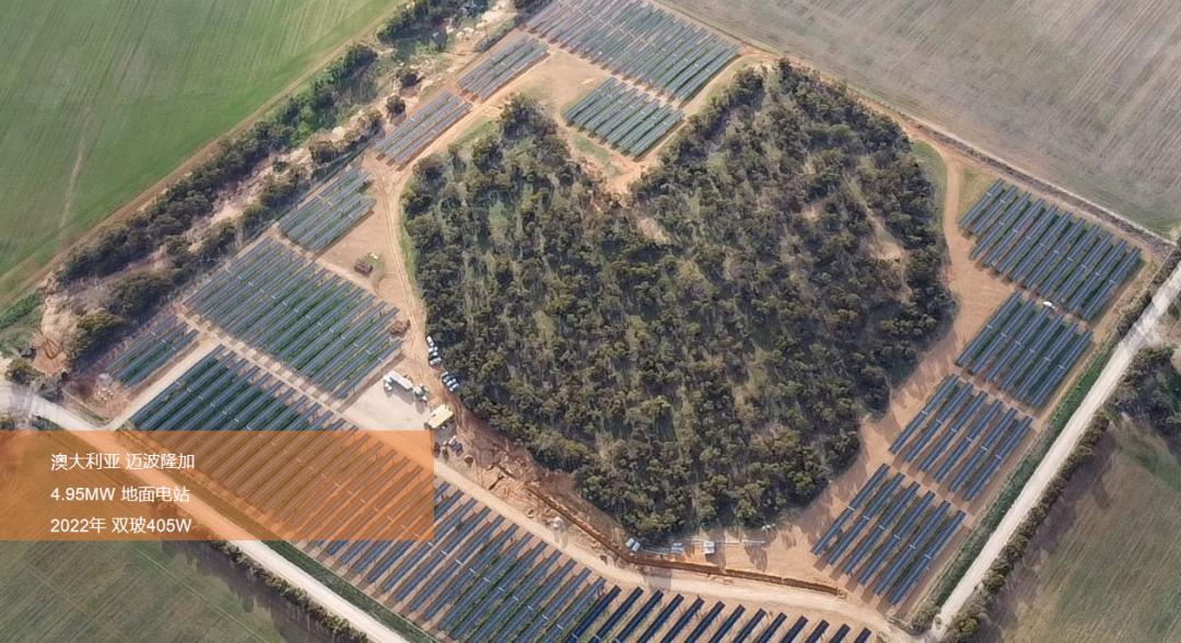 校友企业|阳光能源：手握300+项国家专利、全球新能源企业500强