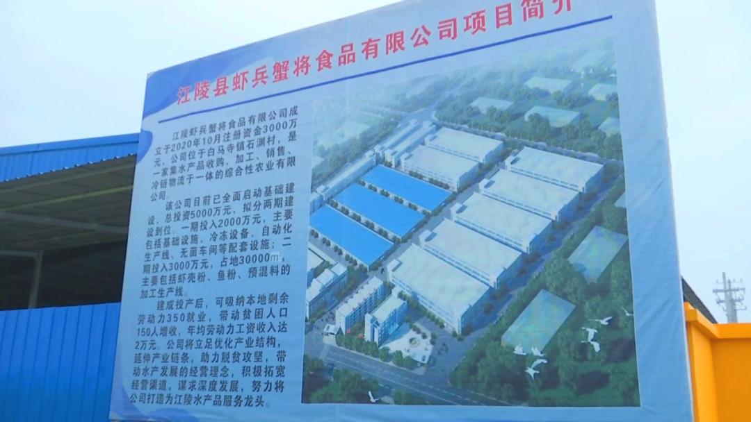 白马寺镇：发展顾问成为农户致富的“香饽饽”