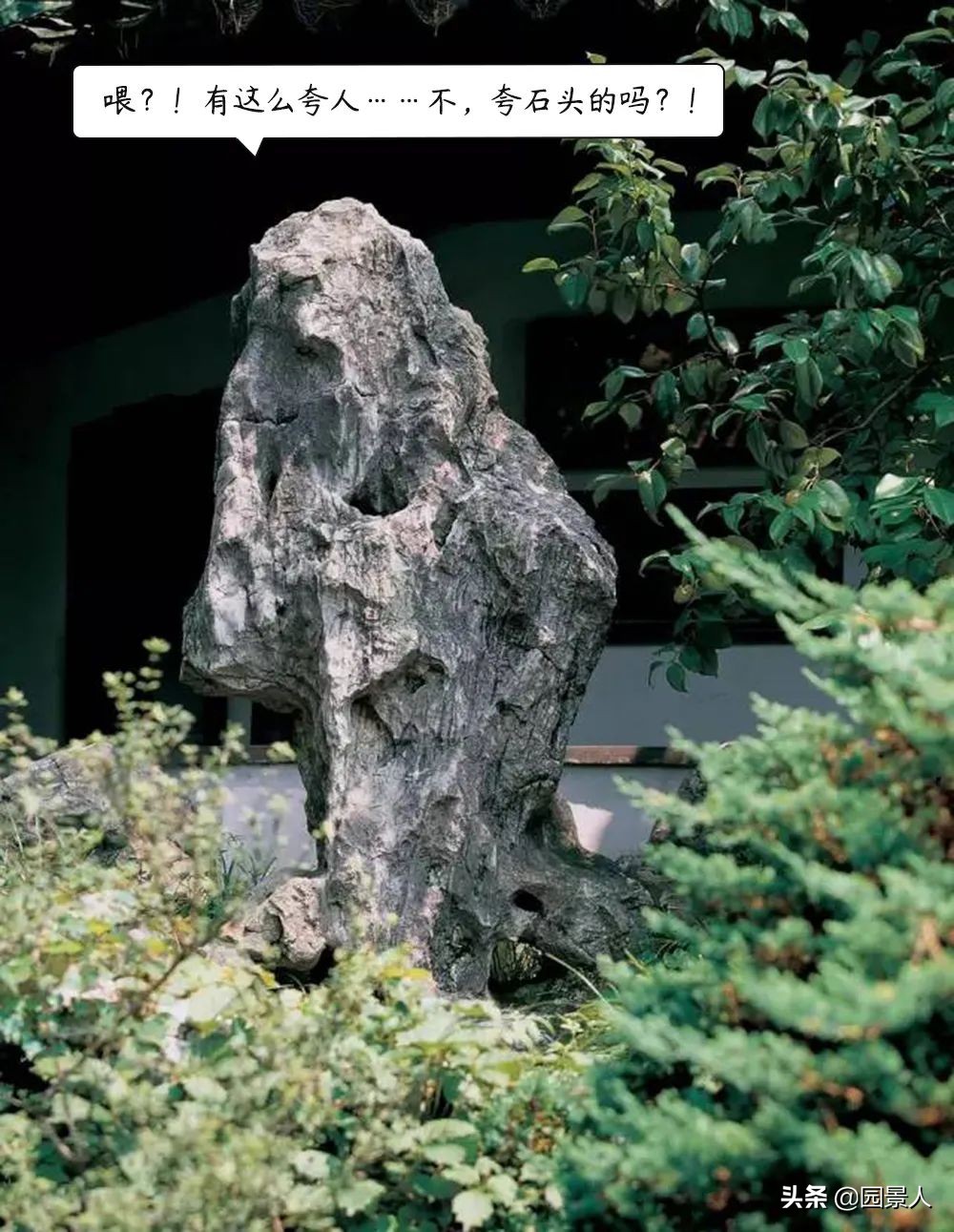 留园江南奇石特点,留园中园的奇石