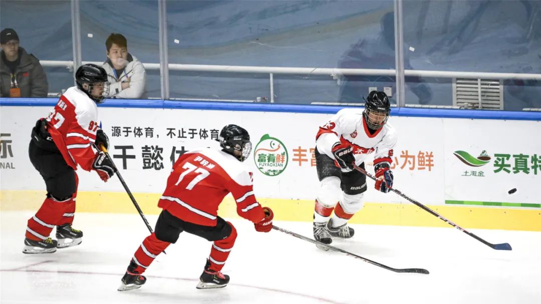 黑龙江省冰球锦标赛决赛,黑龙江省哈尔滨2024冰球邀请赛