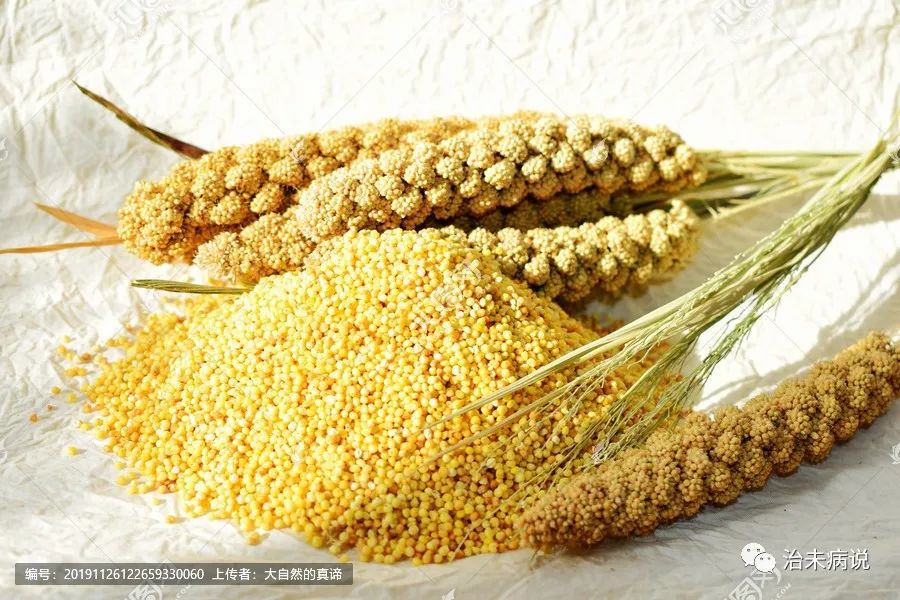 小米天天吃会长胖吗,小米天天吃有营养