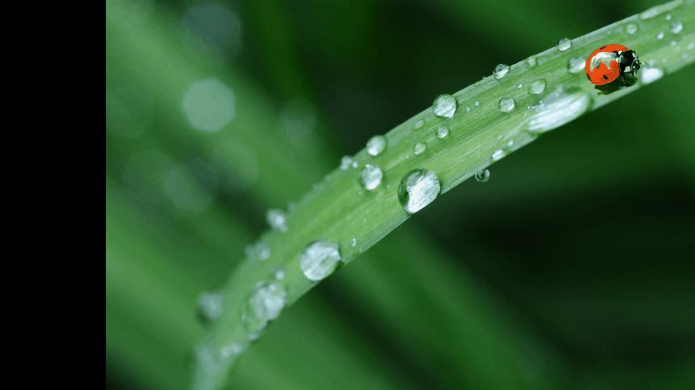 “对不起，这一页PPT我实在不会配图了？”