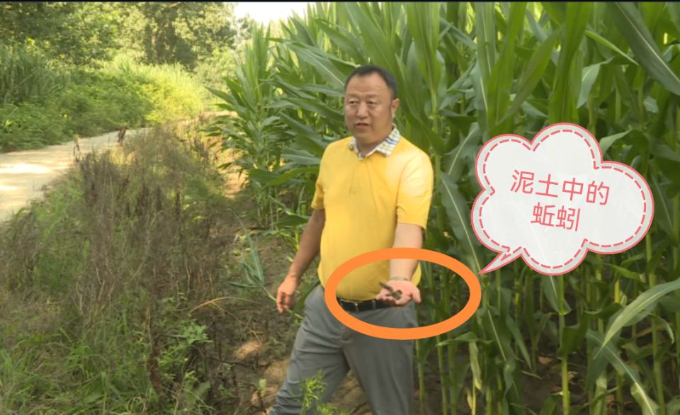 这应该是靠实力“碾压”！南充嘉陵这家企业被北京那边盯上了……