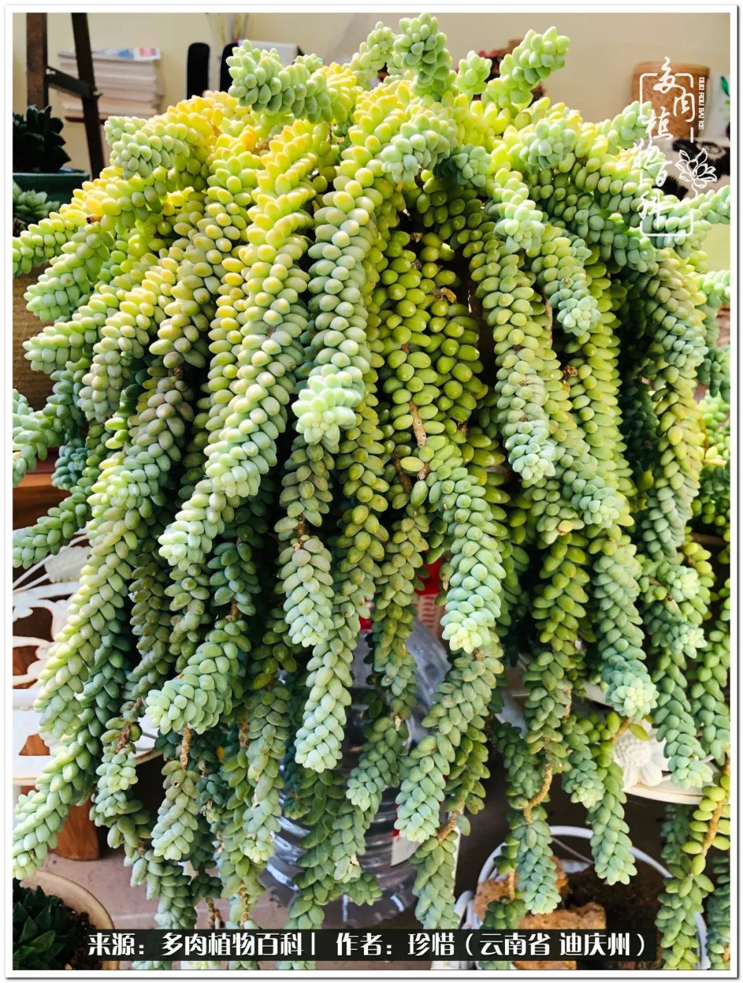 给生命一份淡然还岁月一份从容,给生命留一份洒脱的话