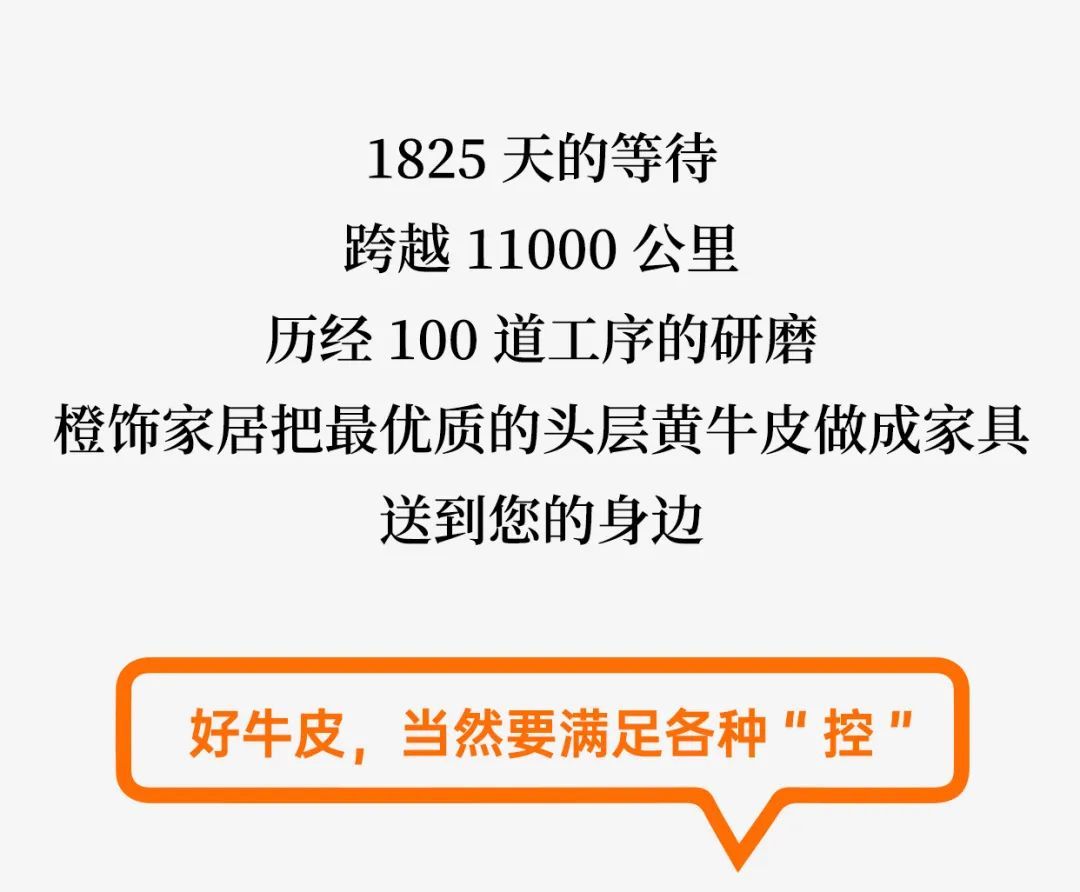 真皮家具详细讲解,真皮家具包括哪些品牌
