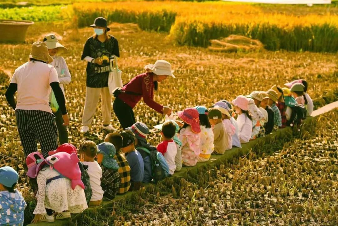 大理幼儿园环境,大理县城幼儿园