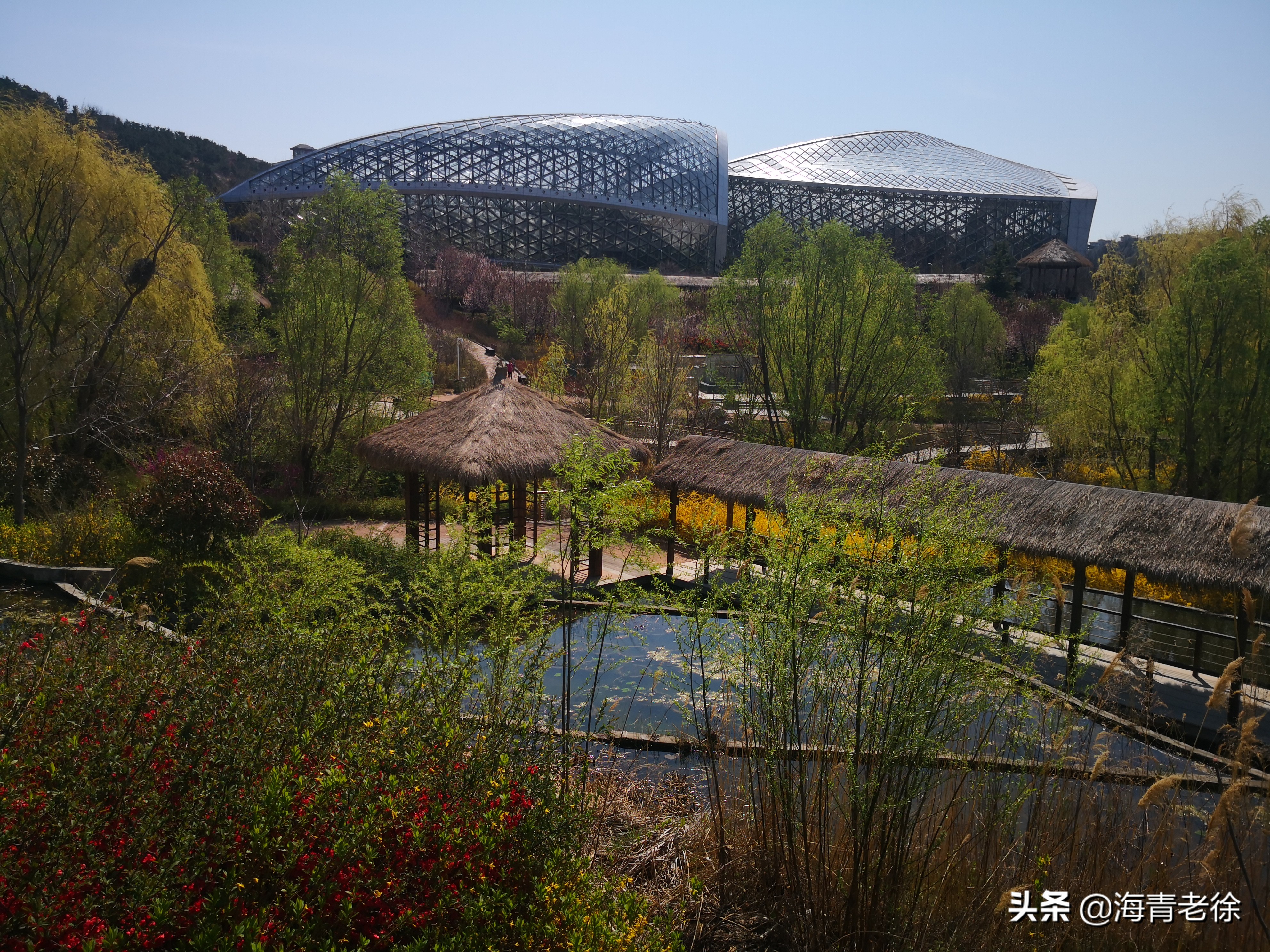 老徐新足迹,老徐自驾游视频