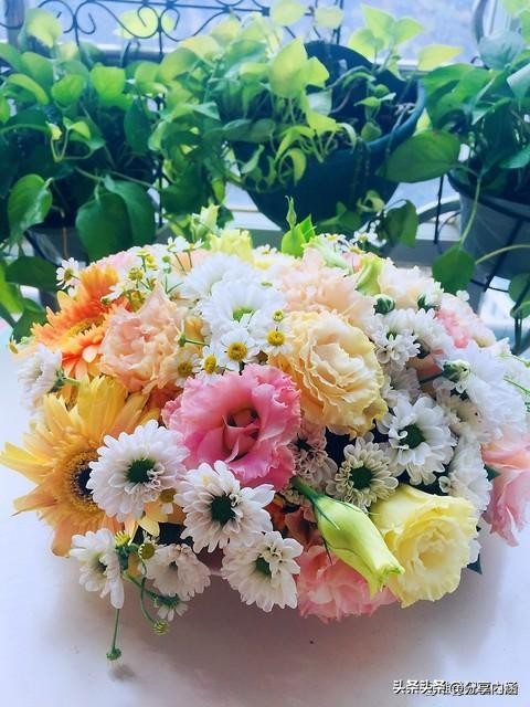 3月15日早安每日问候祝福语,三月最美早安祝福语