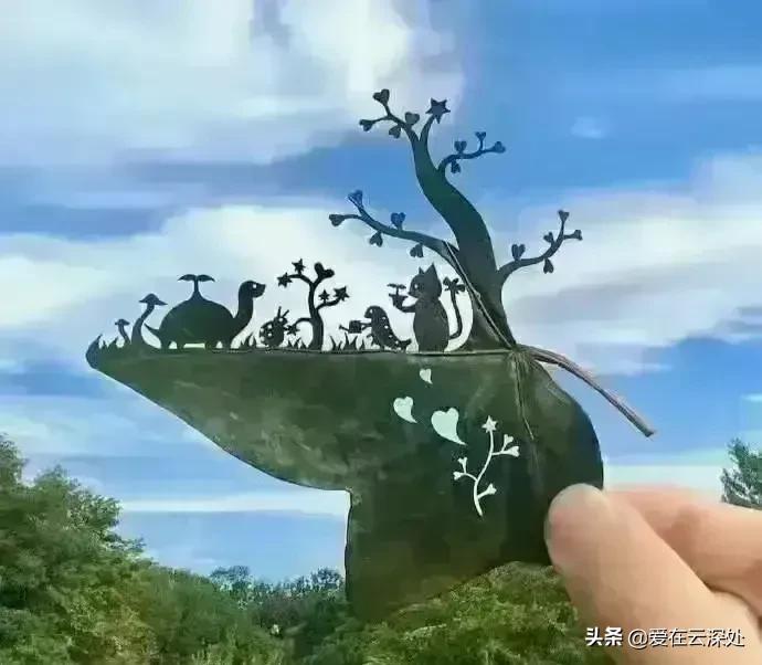 生活的美在于点点滴滴的发现,善于用双眼发现生活中的美