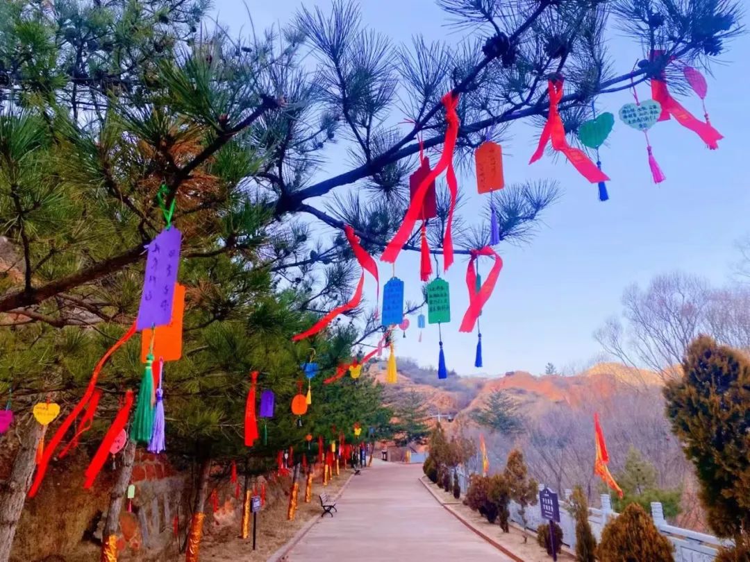 固原新春,固原文旅宣传