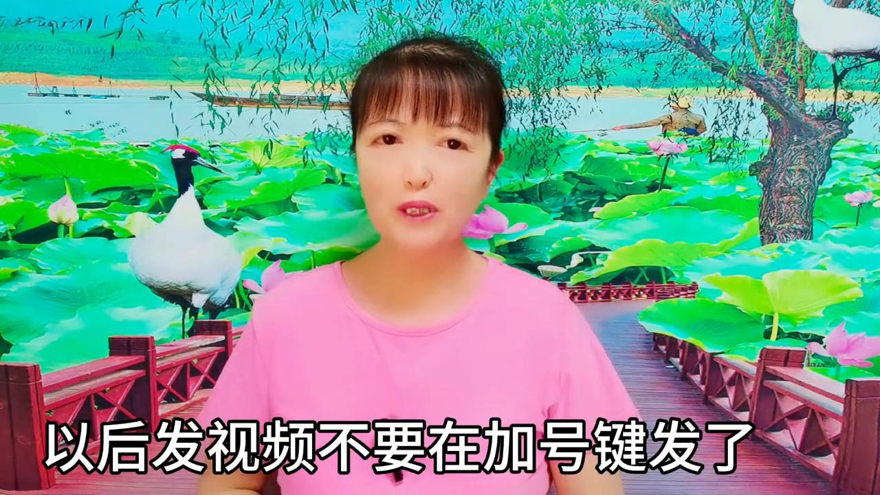 伙伴计划赚钱吗,伙伴计划为什么没有收益了