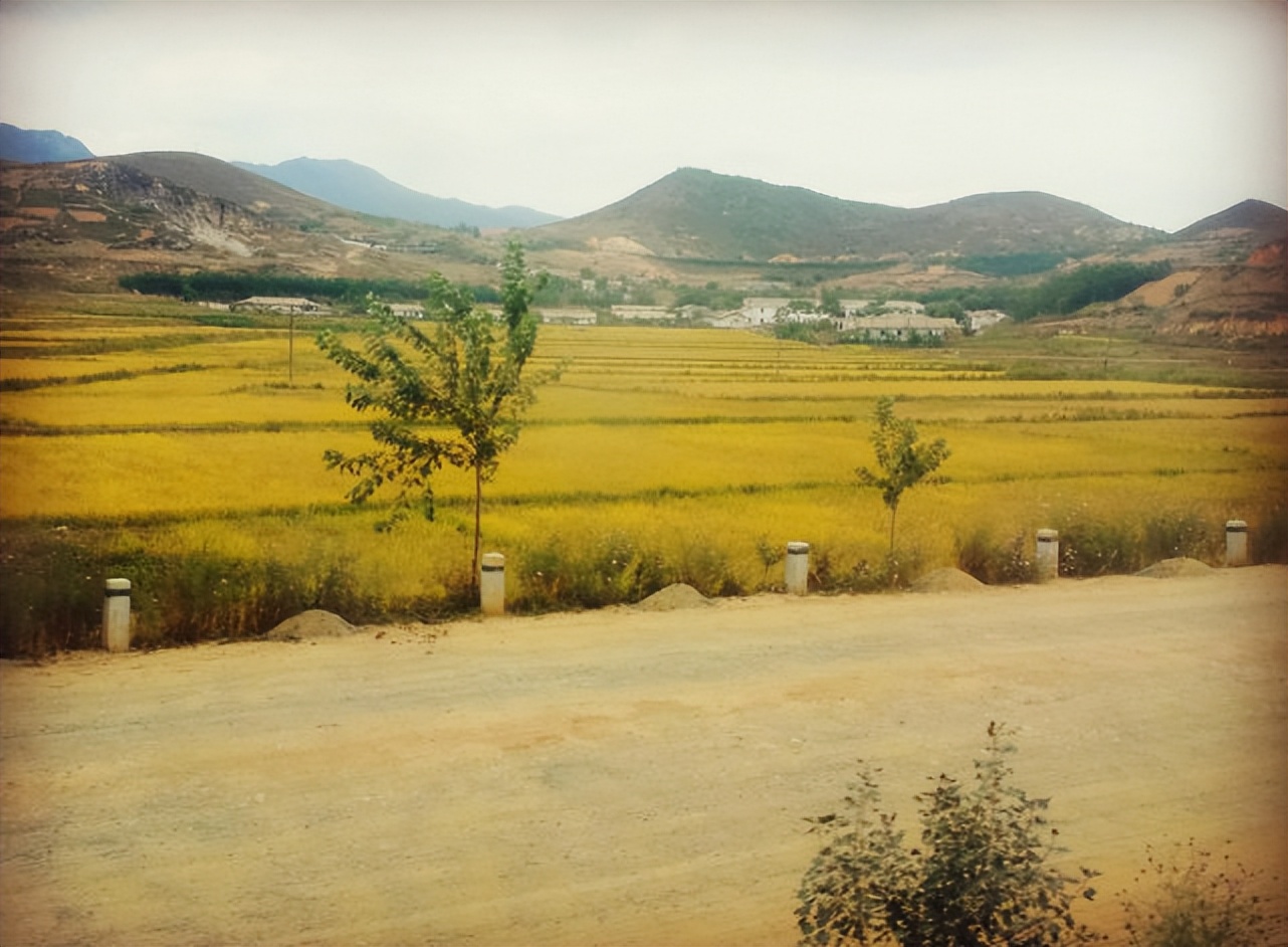 30多年第一次去朝鲜,坐着绿皮火车去旅行纪录片