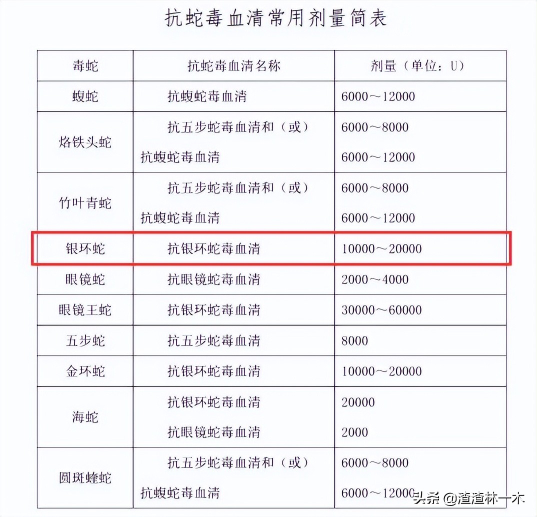 剧毒蝰蛇,毒性最强的蝰蛇