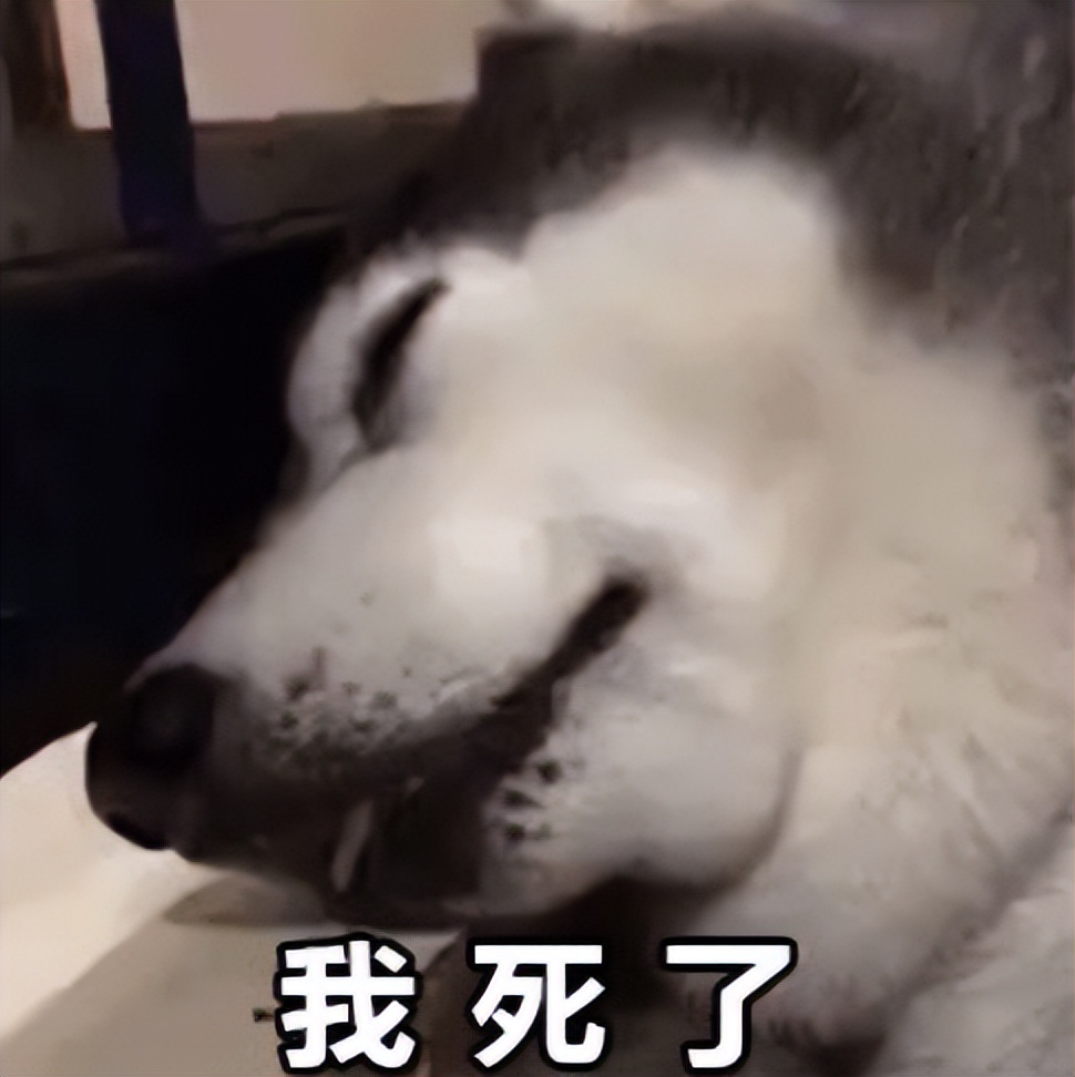 2018斗鱼十大巅峰主播周淑怡,斗鱼一姐现在是周淑怡吗