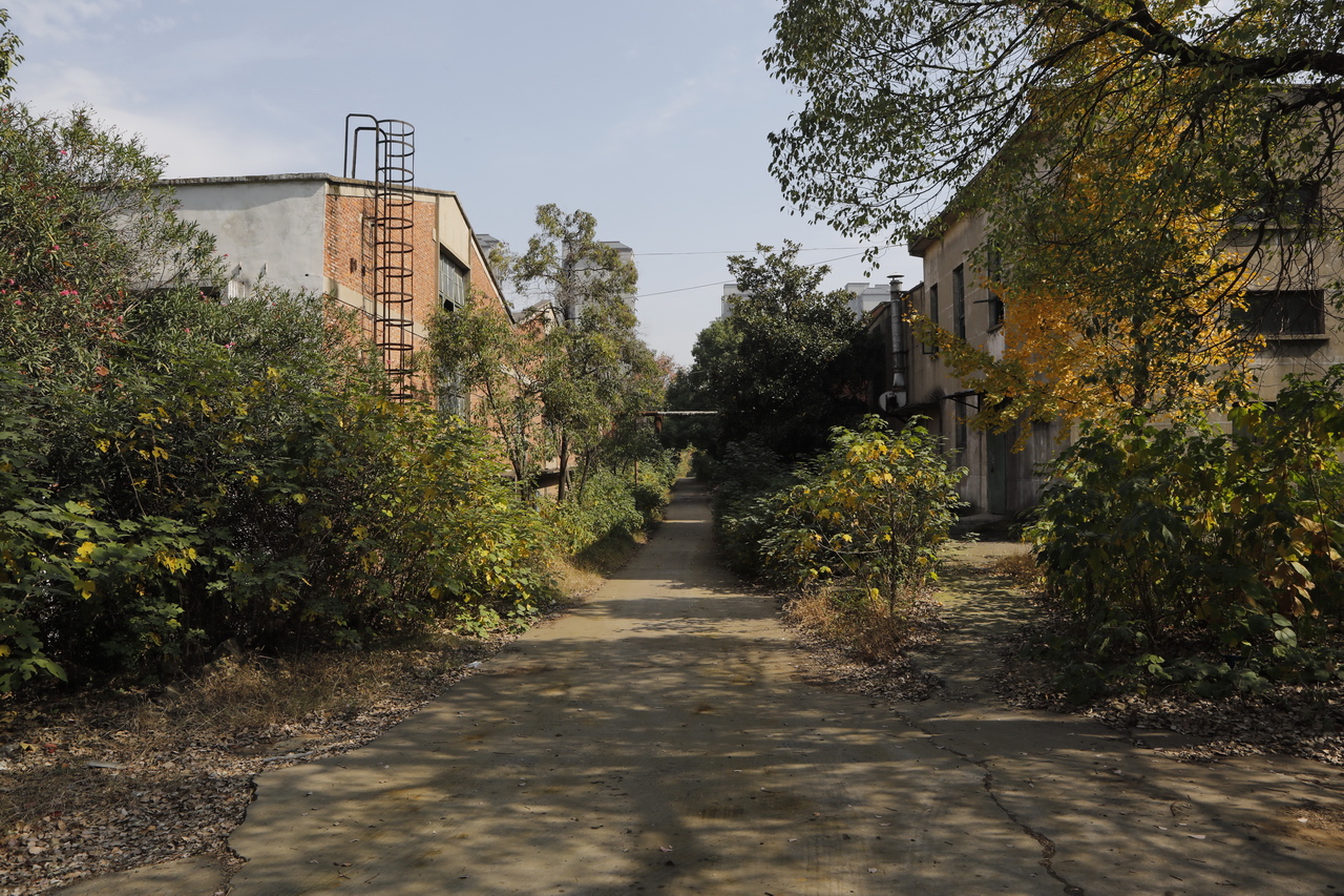 襄阳三线厂名单,襄阳汽车轴承股份有限公司网站