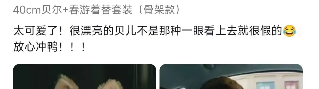 玲娜贝儿能卖到多少钱,玲娜贝儿去哪里买