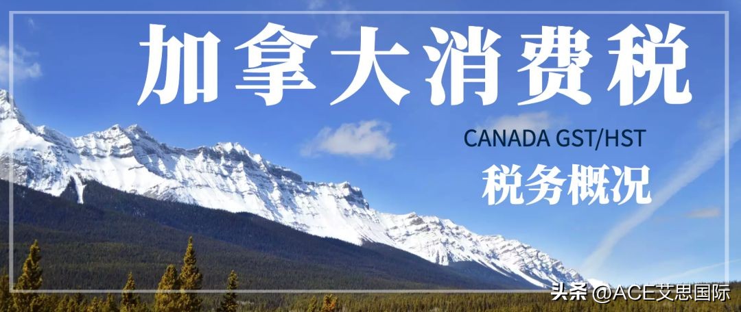 加拿大税金单解读,加拿大干货