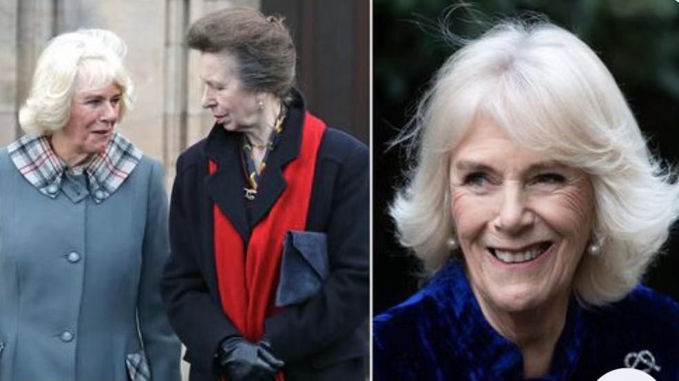 安妮公主向女王行屈膝礼,安妮公主给女王灵柩行屈膝礼