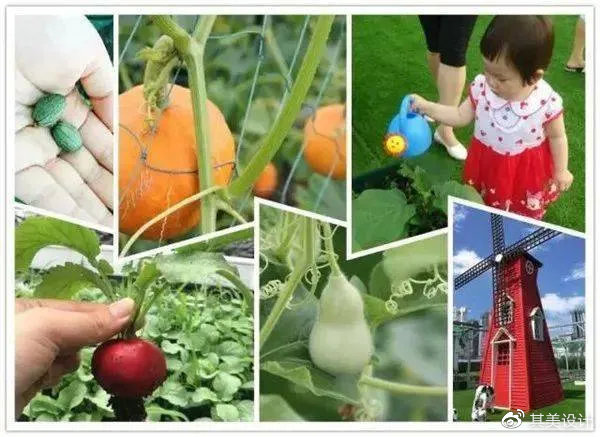 璐墿涓績灞嬮《缁忔祹,璐墿涓績妤奸《鍟嗕笟妯″紡