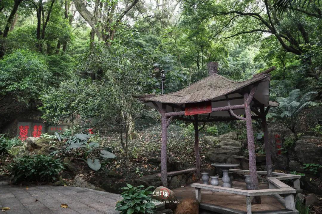 广州白云山上的书法石刻,白云山书画