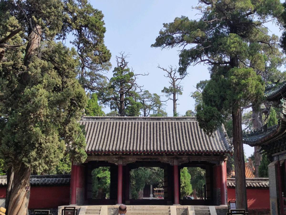 进淄赶烤一路飘香,进淄赶烤风雨无阻